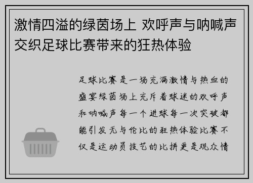 激情四溢的绿茵场上 欢呼声与呐喊声交织足球比赛带来的狂热体验