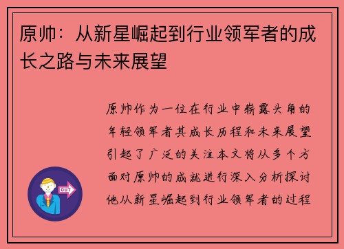 原帅：从新星崛起到行业领军者的成长之路与未来展望